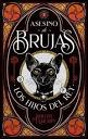 ASESINO DE BRUJAS 2 LOS HIJOS DEL REY - Shelby Mahurin