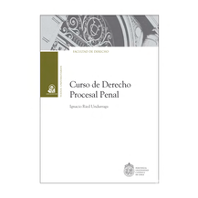 CURSO DE DERECHO PROCESAL PENAL - Ignacio Ried Undurraga