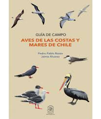 AVES DE LAS COSTAS Y MARES DE CHILE GUIA DE CAMPO - Pedro Pablo Rosso y Jaime Alvarez